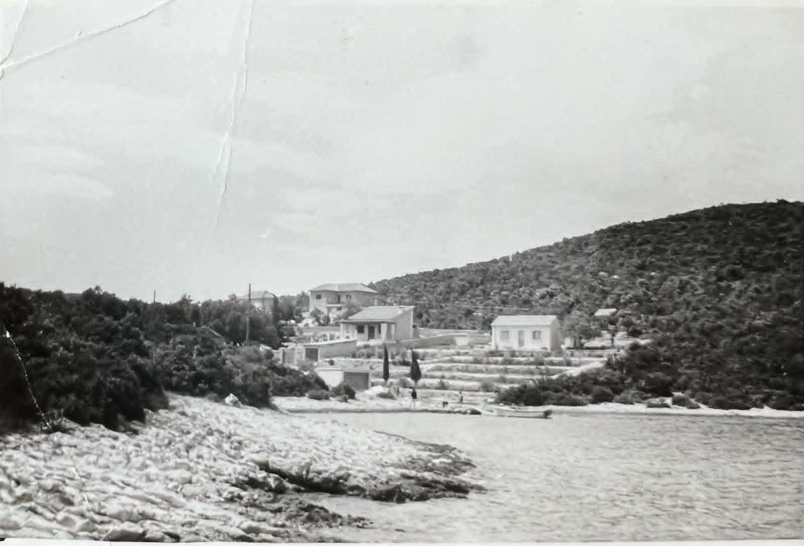 Black-and-white photograph of the first houses on the wooded hillside