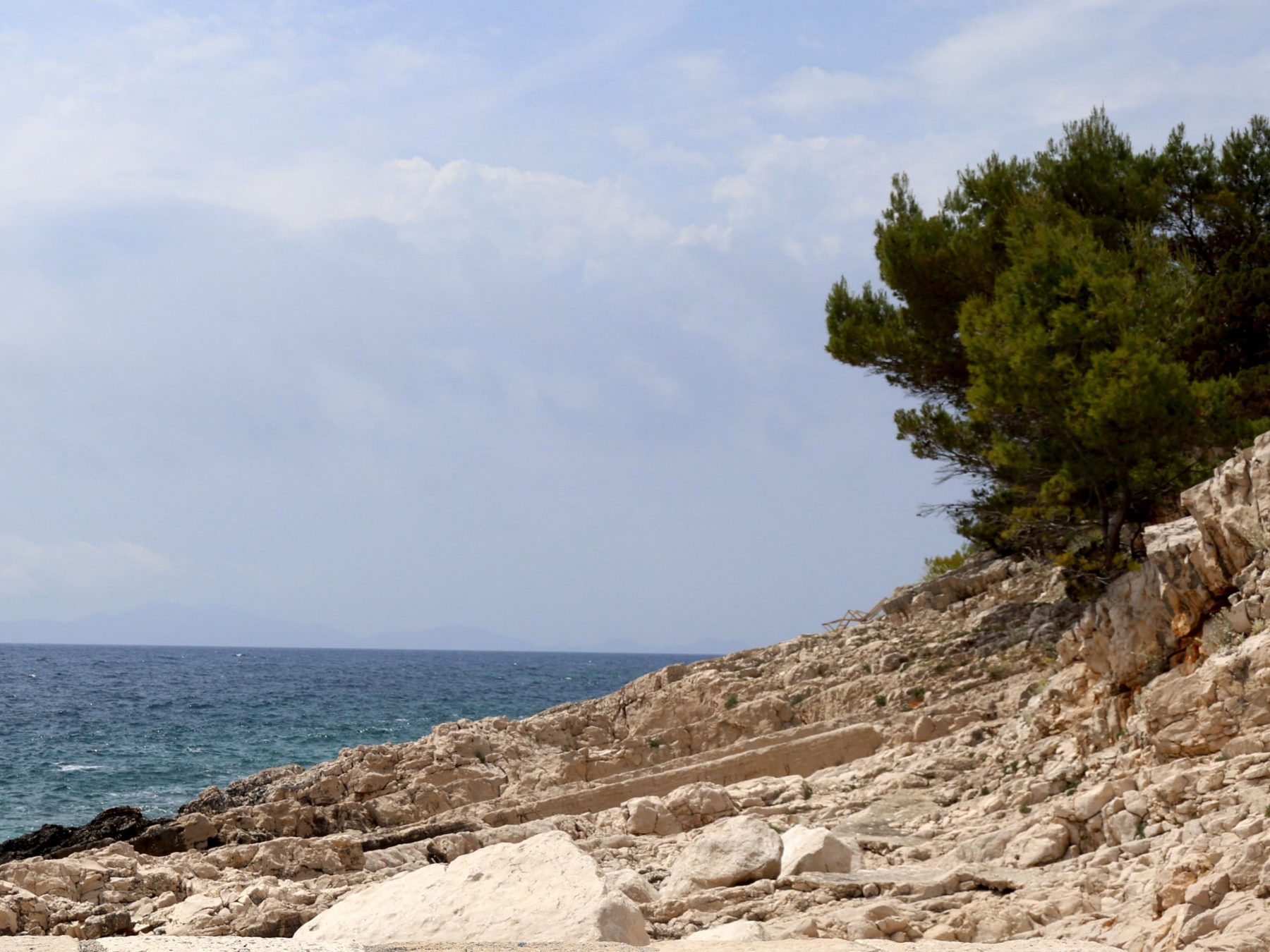 Pale limestone shore and pines above the sea