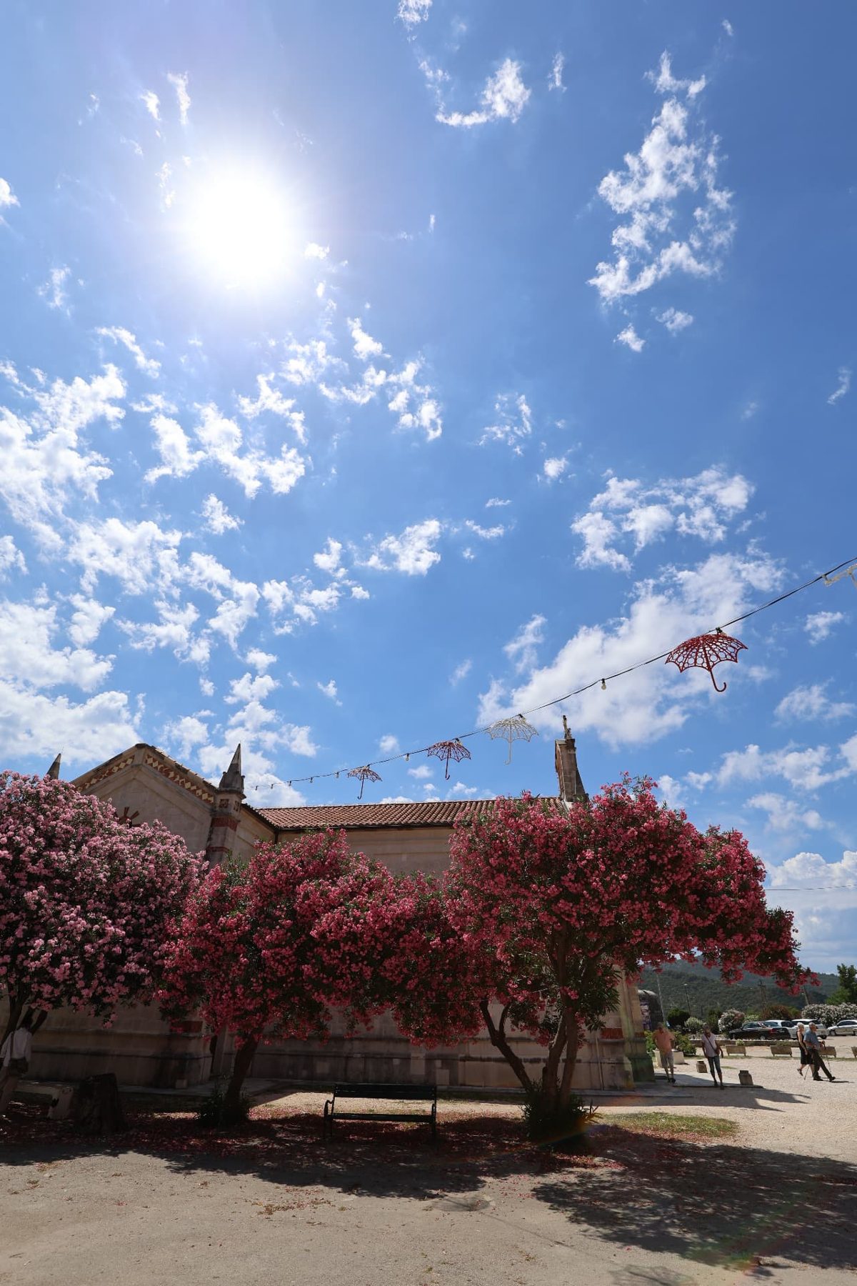 Flowering oleander before old stone buildings