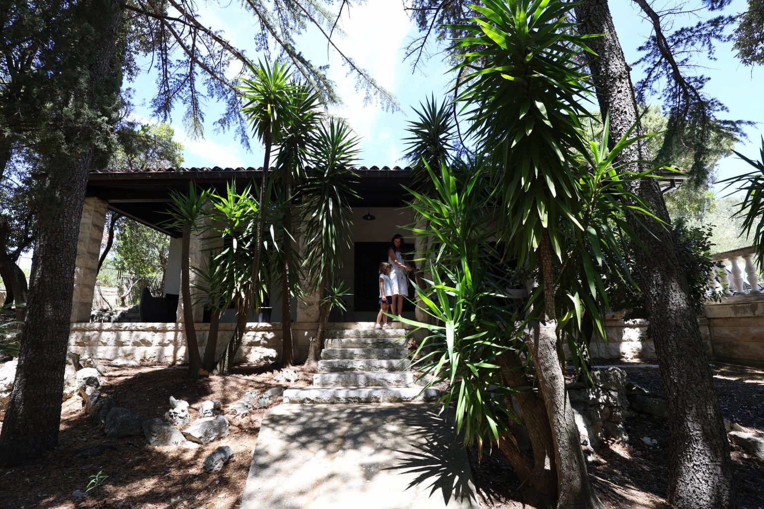 Shaded garden entrance and stone steps