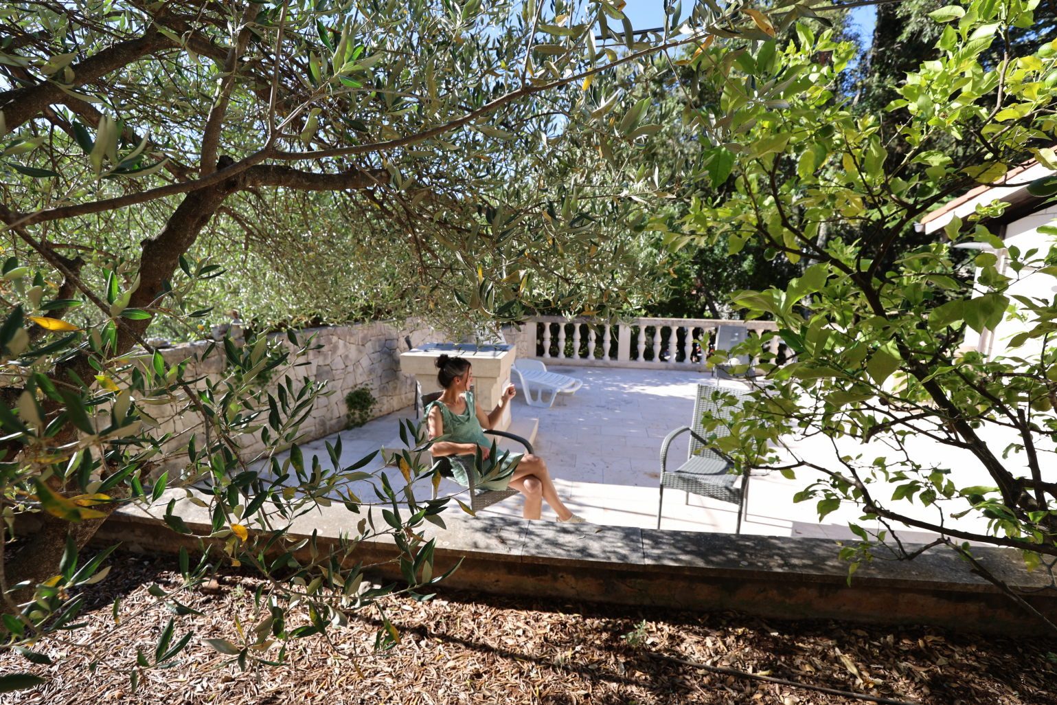 The stone terrace seen through olive branches, a woman resting in the shade