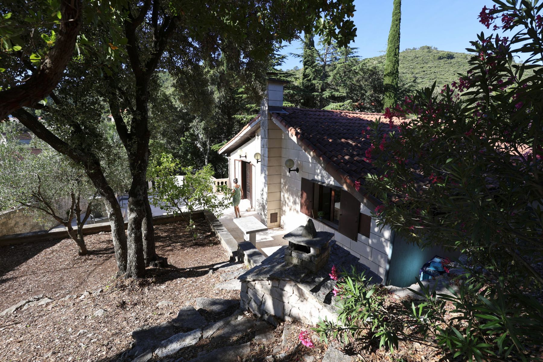 The stone house beneath oaks and cypress, oleander in flower along the path