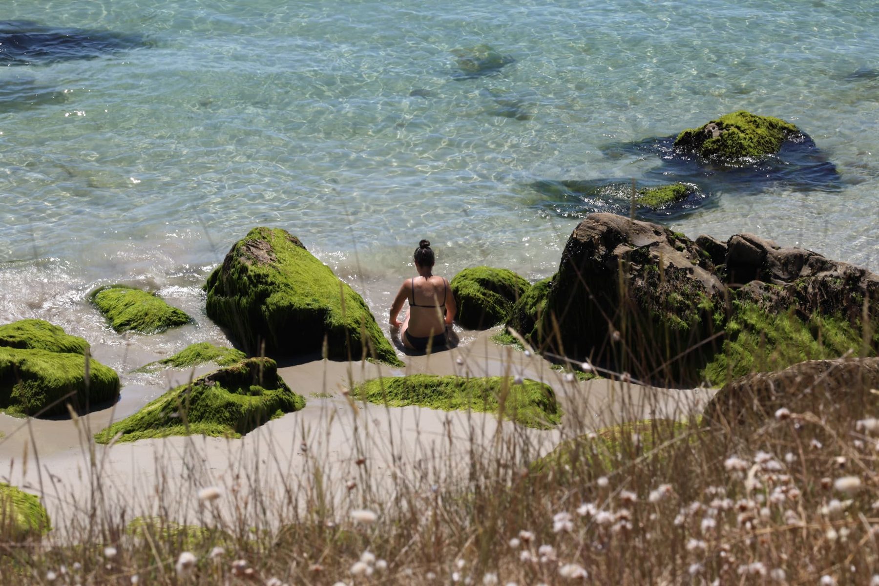 A swimmer sitting among green, weed-covered rocks at the edge of clear Atlantic water