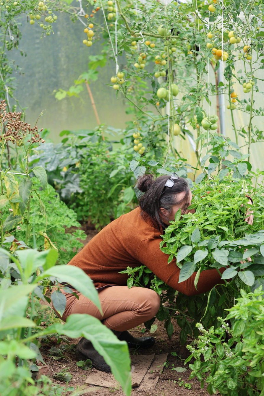 Working in the garden beside the greenhouse
