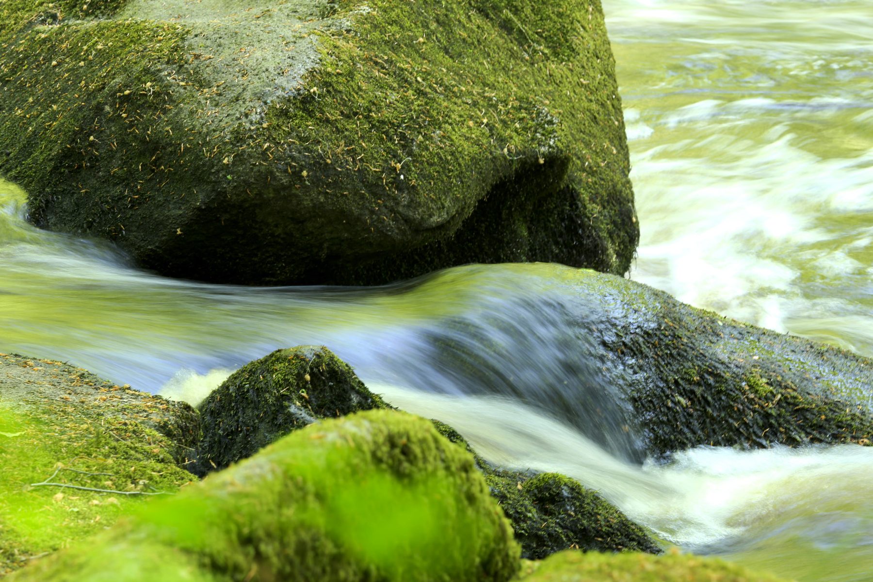Water running over mossy granite